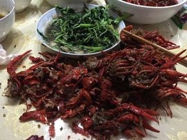 zxxxx主播照片