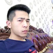 拿破轮先生