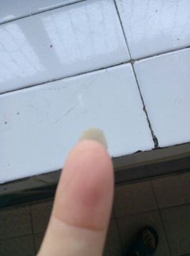 傲狐🌹主播照片