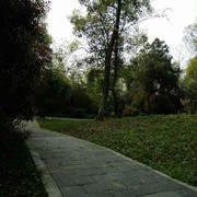 少爷架到海报