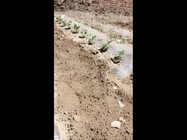 一秒钟の记忆主播照片