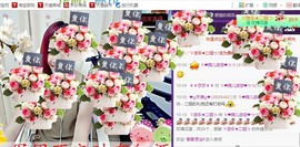 ゞ悠乐★婉儿つ主播照片