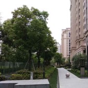 万世问情