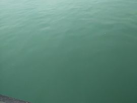 🚩风景🚩主播照片