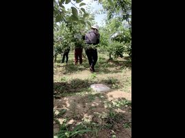 一秒钟の记忆主播照片