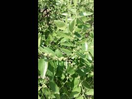 一秒钟の记忆主播照片