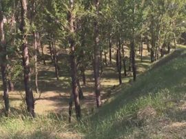 🚩风景🚩主播照片