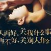 乱世随缘海报
