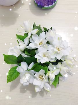 ♫Mr、墨西ლ主播照片