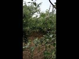 一秒钟の记忆主播照片