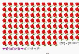 宝贝麦西西……主播照片