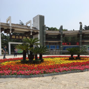泽卿-强少海报