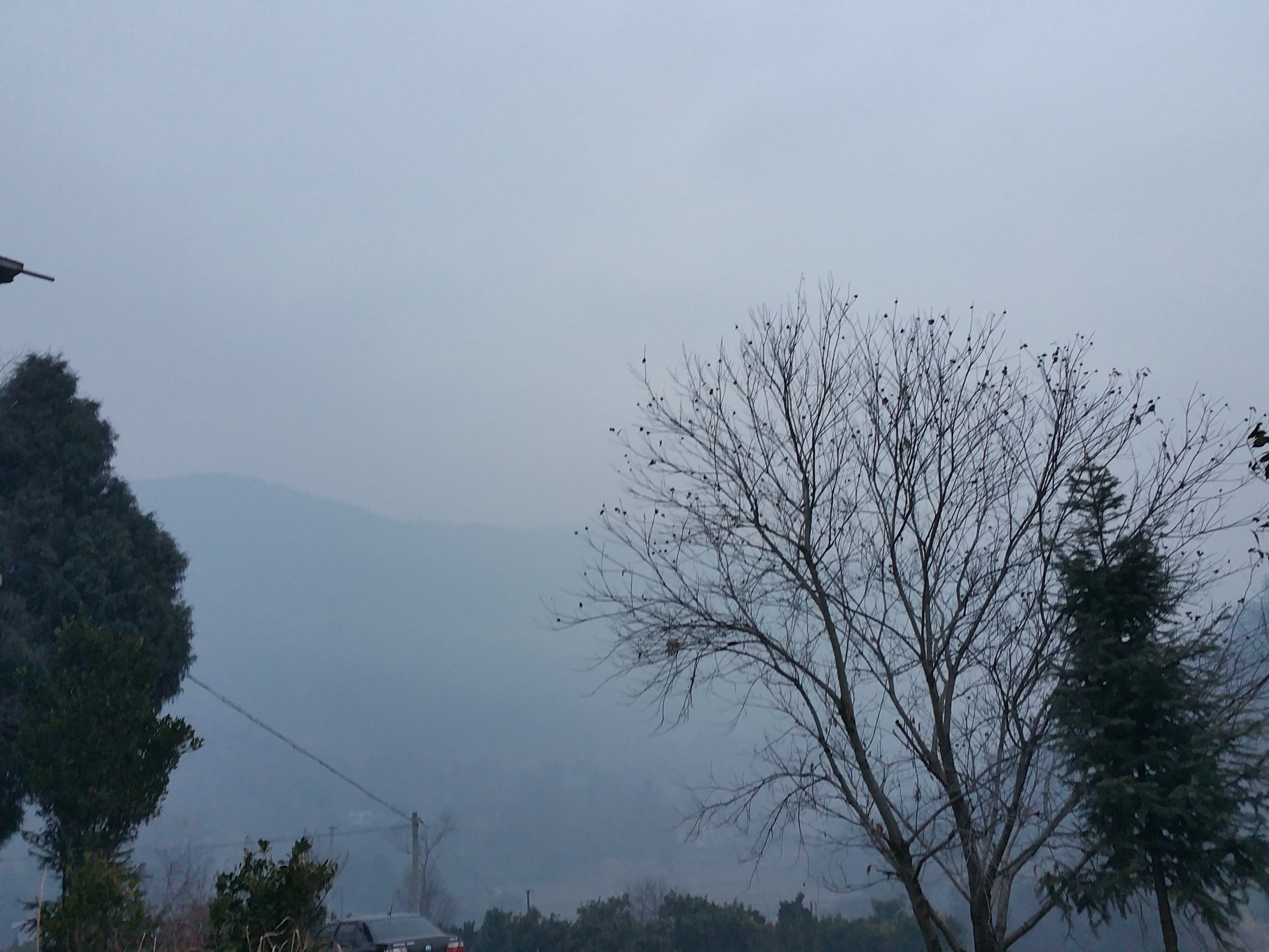 一生守护您枫叶的主播照片