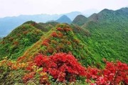 微信_50im
