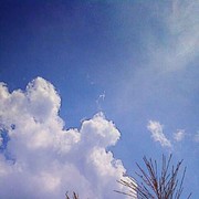 秋日诗雨的头像