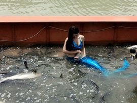 宋城直播间主播照片