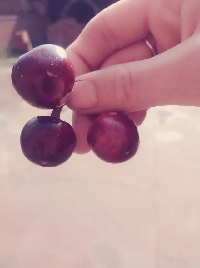 ☞雪儿♞930☜的图片