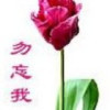 拿什么让你相信我的头像