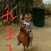 中华醉龙