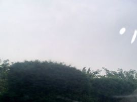指尖的情谊主播照片