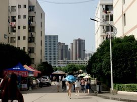 【无双】鹤轩主播照片