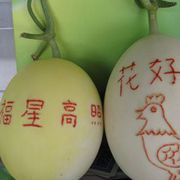 夏天吃（香）瓜