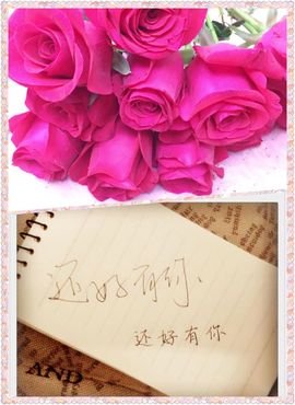 朵范儿*二呗主播照片