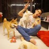 我在努力*