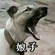 中路兵线我的