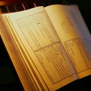 我的小鱼