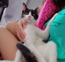 丽姐的猫猫主播照片