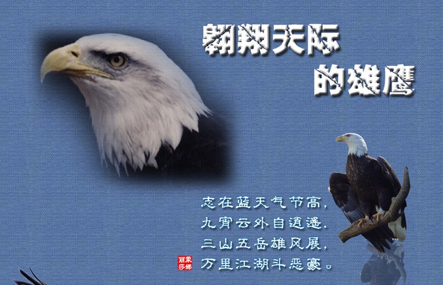 信仰💕为你守候的主播照片