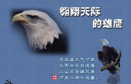 信仰💕为你守候主播照片