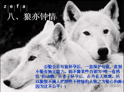 信仰💕为你守候的主播照片