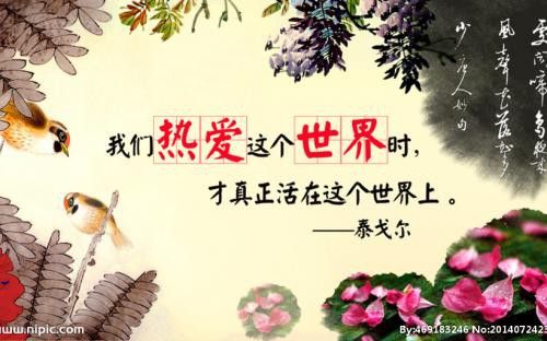 信仰💕为你守候的主播照片