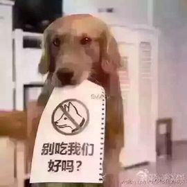 嘚瑟💗主播照片