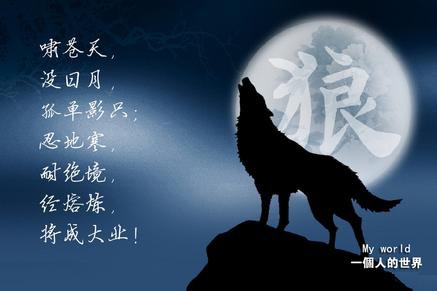 狼性不灭的主播照片