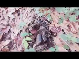 🚩风景🚩主播照片