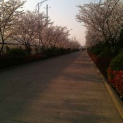 微信_6112300