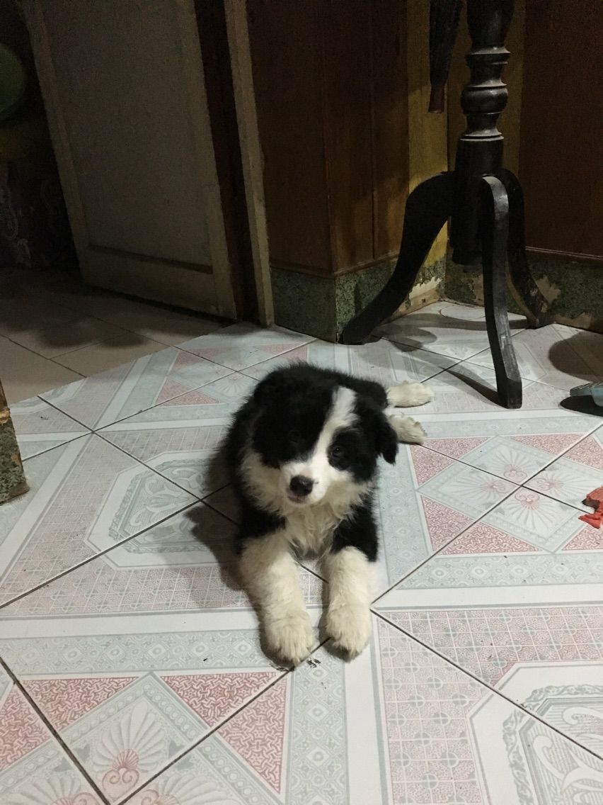 请叫我好姑娘的主播照片