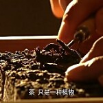 火星上的啥丁鱼