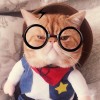 他不懂。3的头像
