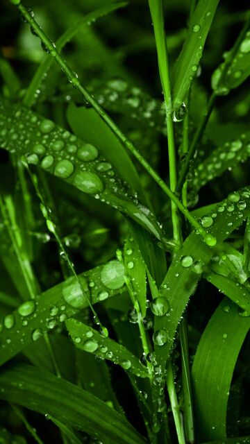 ❤心雨💦海报