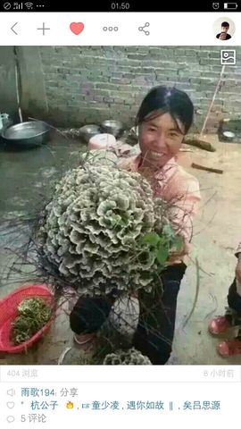 易门城矣吕思源主播照片
