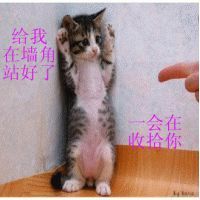 ✨媳婦⭐求🌙帶走✨主播照片