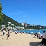 夏天的凉风e