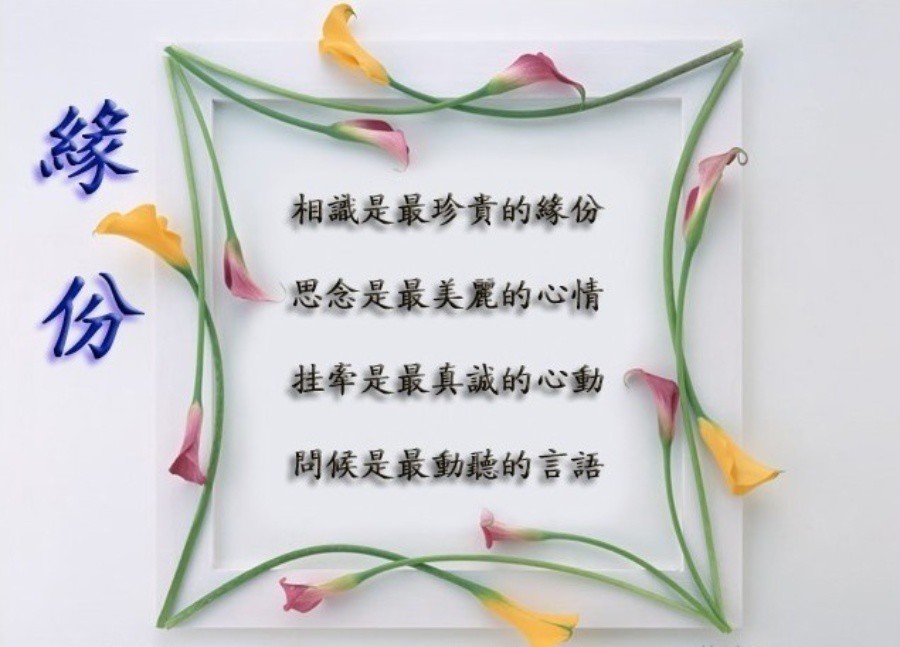 信仰💕为你守候的主播照片