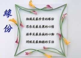 信仰💕为你守候主播照片