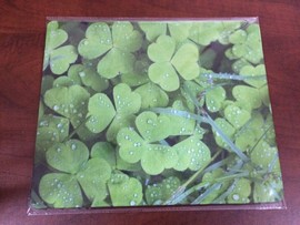 淘宝-树哥鼠标垫主播照片