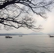 🏯烟酒疗心伤海报